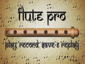 Flute Pro Image