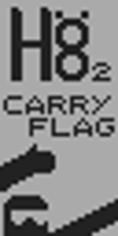 H8 2: Carry Flag Image