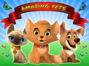 Amazing Pets - My Dog or Cat Image