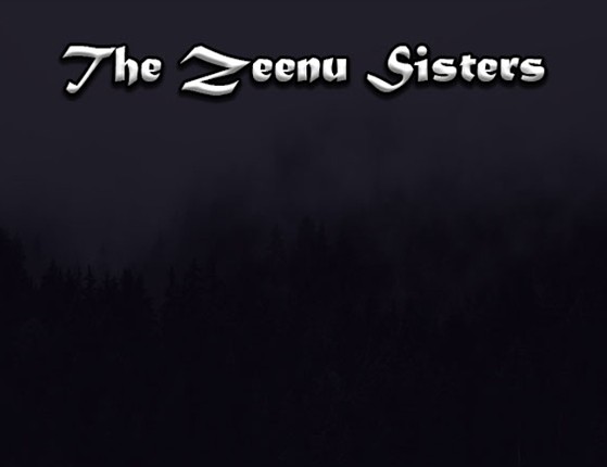 The Zeenu Sisters Game Cover