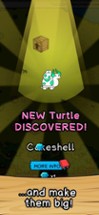 Turtle Evolution Image