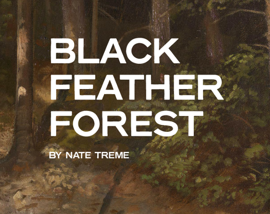 Black Feather Forest Game Cover