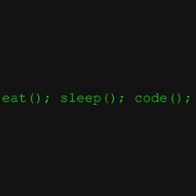 eat(); sleep(); code(); Image