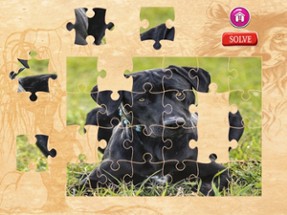 Dog Jigsaw Puzzles - Activities for Family Image