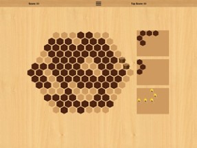 Wooden Hexa Puzzle Image