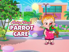 Baby Hazel Parrot Care Image