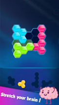 Block! Hexa Puzzle™ Image