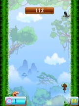 My Baby Monkey Jump Image