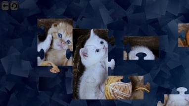 Puzzles for smart: Cats Image