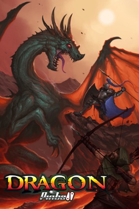 Dragon Pinball Game Cover
