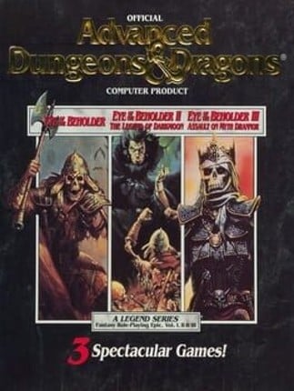 Forgotten Realms: The Archives - Collection One Game Cover