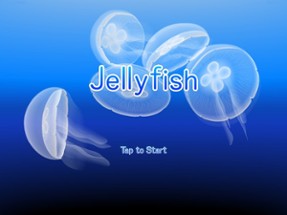 Jellyfish AR/VR 2 Image