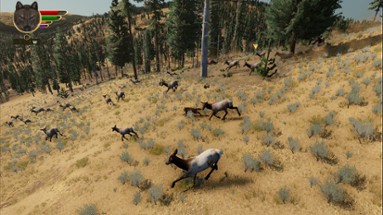 WolfQuest Image