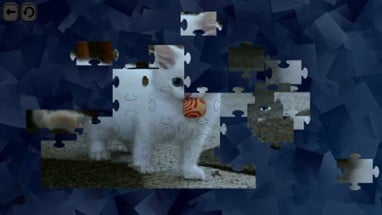 Puzzles for smart: Cats Image