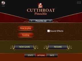 Cutthroat Pinochle Online Image