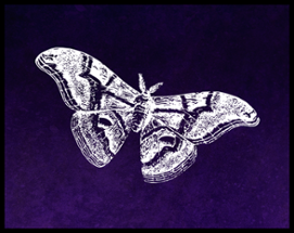 Untitled Moth Game Image