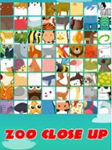 Zoo Close Up - Word Puzzle Image