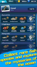 Fishing Championship Image