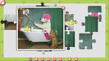 1001 Jigsaw. Cute Cats 3 Image