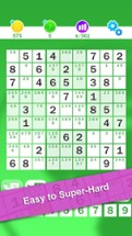 Sudoku : World's Biggest Number Logic Puzzle Image