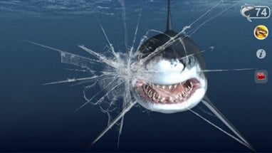 Talking Great White : My Pet Shark Image