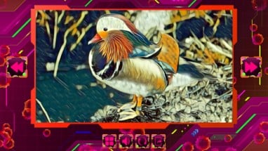 Twizzle Puzzle: Birds Image