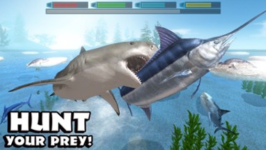 Ultimate Shark Simulator Image