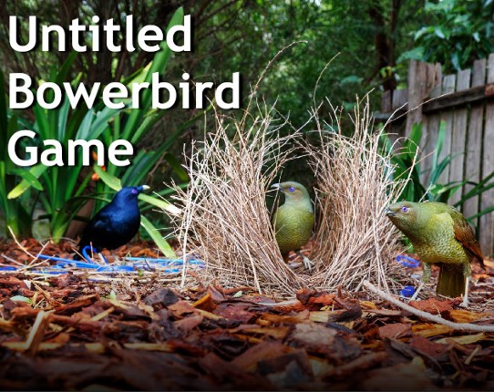 Untitled Bowerbird Game Game Cover