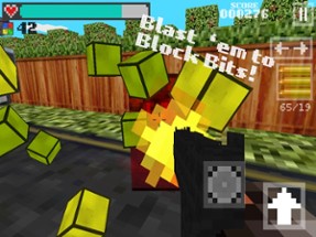 Block Gun 3D - Free Pixel Style FPS Survival Shooter Image