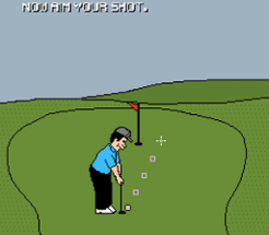 Roberto Selavino's Putting Championship Image