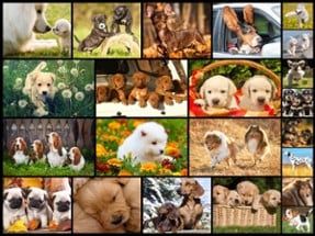Dog Puzzles - Jigsaw Puzzle Game for Kids with Real Pictures of Cute Puppies and Dogs Image