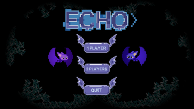 Echo Image
