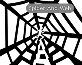 Spider And Web Image