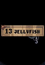 13 Jellyfish Image