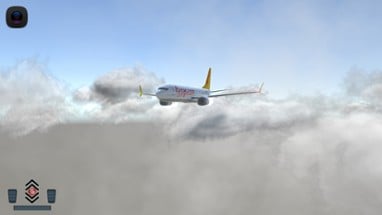 Flight 737 - MAXIMUM Image