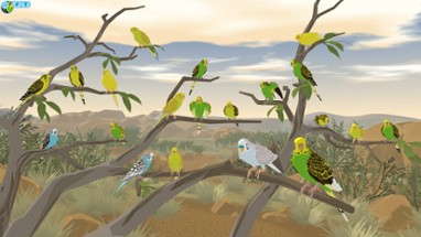 Budgie Genetics Simulator Image