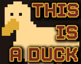 This is a Duck Image