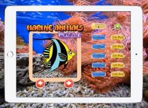 Marine Math Games Jigsaw Puzzles : Fish for Kids Image