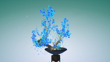 Tree Bonsai Image
