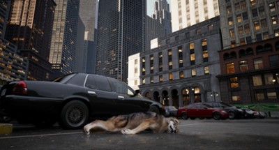 WOLF IN THE CITY Image