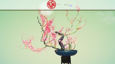 Tree Bonsai Image