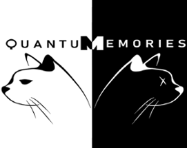 Quantum Memories Image