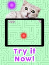 Games for Cats! Image