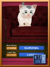 Cat Runaway on Valentine Day - Cute Kitten Games Image
