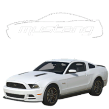 2013-14 Ford Mustang (IC & Passenger) Image