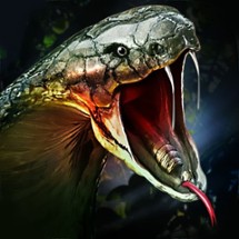 Killer Snake Image