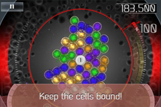 Cell Bound Image
