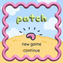 Patch Image
