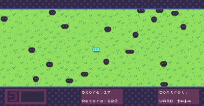 Kukumushi Virtual Pet Image