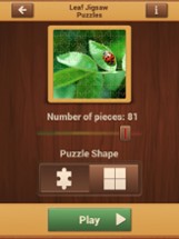 Leaf Puzzle Games - Real Picture Jigsaw Puzzles Image